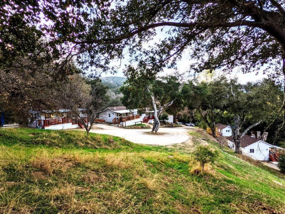 The Luminous Lodge-Remodeled Cabin W/ Valley Views Santa Ysabel Exterior photo